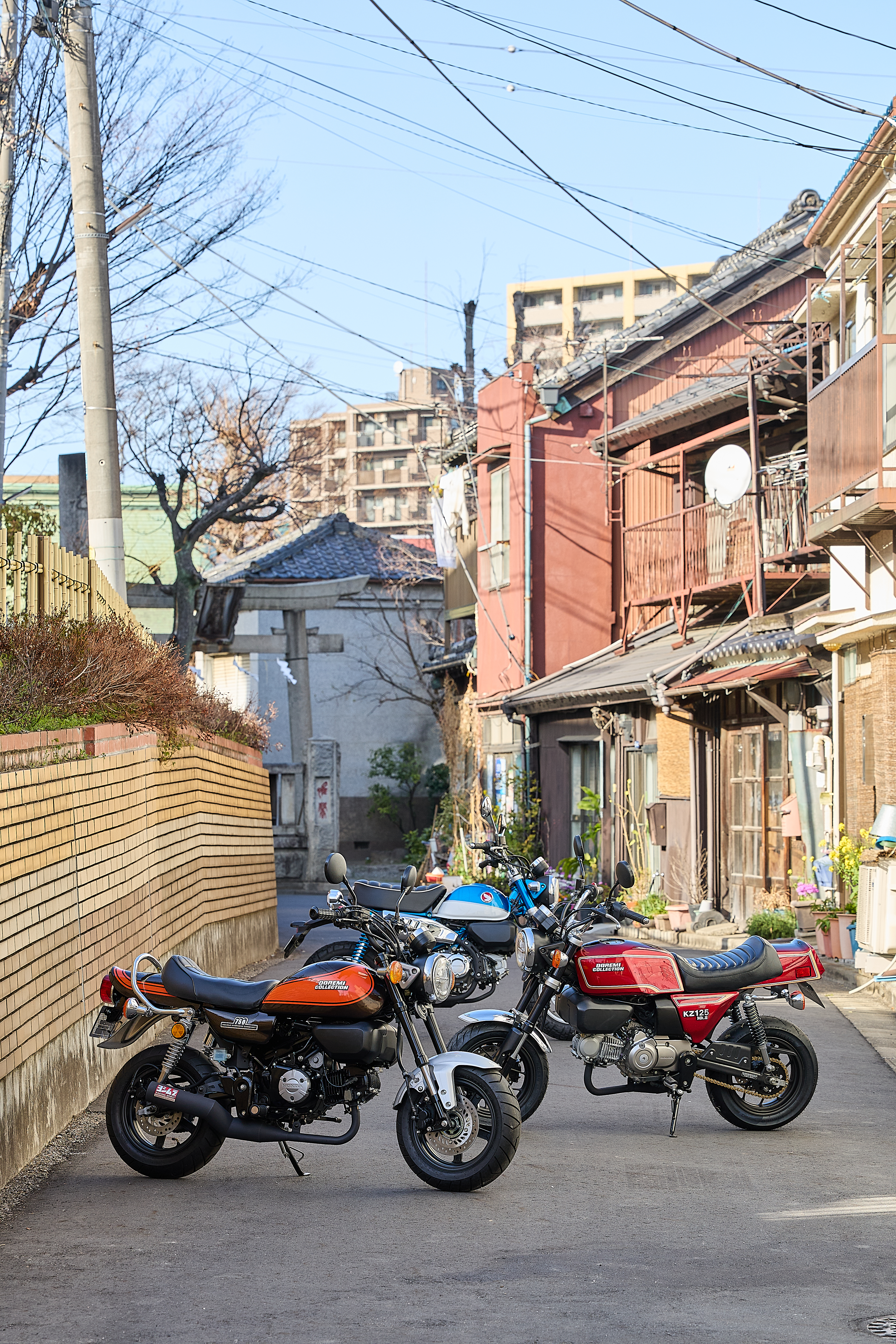 {{brizy_dc_image_alt imageSrc=