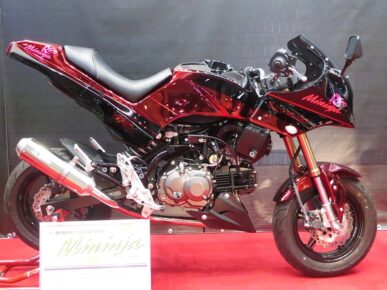 {{brizy_dc_image_alt imageSrc=