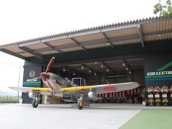 {{brizy_dc_image_alt entityId=