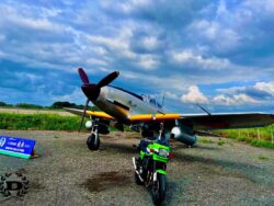 {{brizy_dc_image_alt entityId=