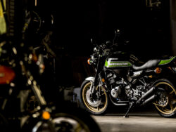 {{brizy_dc_image_alt entityId=